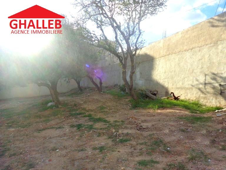 A vendre lot de terrain à hammamet nord 193