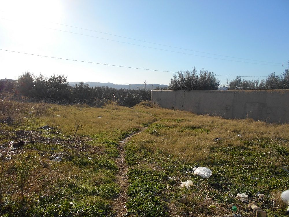 A v un lot de terrain à menchar route sidi jdidi hammamet 2703