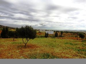 Lot à sidi jdidi 1500m ² ad