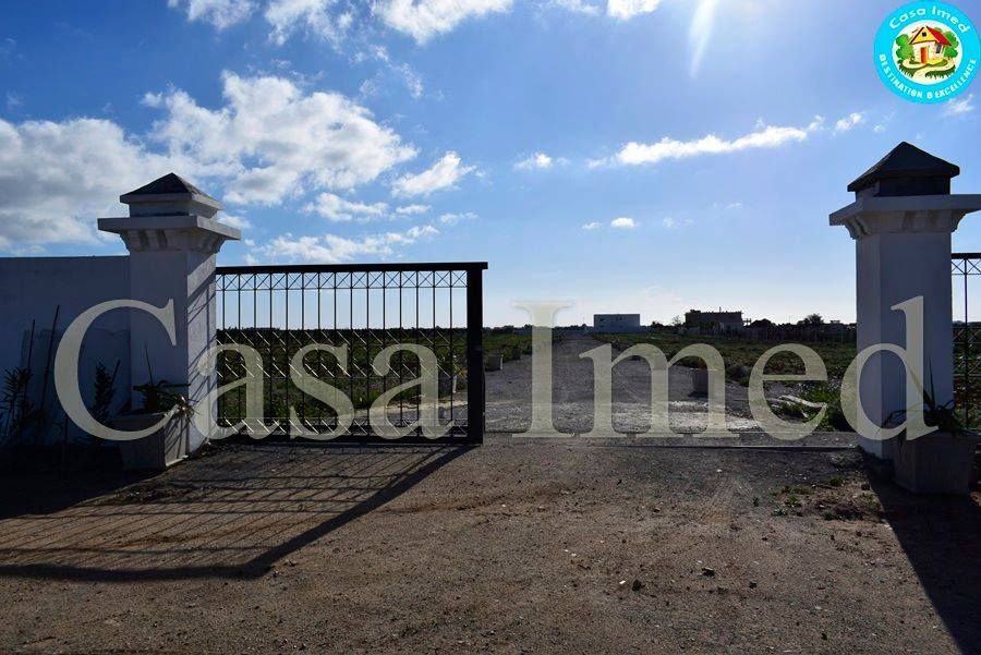 24704025عندنا ارخص علاش تشري اغلى