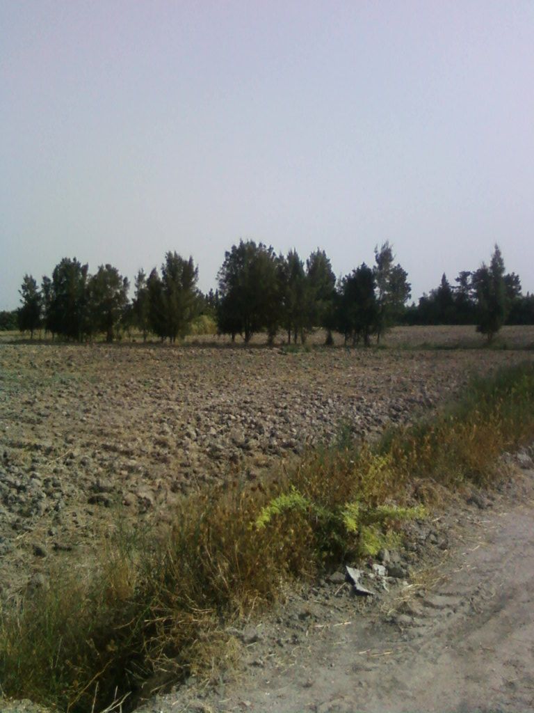 terrain agricole a vendre a bizerte