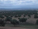 250 hectares à Lenderia contient Presse à huile