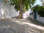 A ne pas rater a sidi bou said