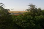 A vendre une ferme de 60000 m