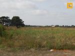 Av terrain agricole à Dar Allouch Kélibia
