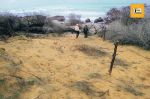 AV un grand terrain en 1ère position Plage Kerkouane Kélibia