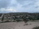 Ferme à landaria 240 hectares avec accès façile