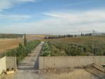 Ferme avec villa sur 7 hectares plantés