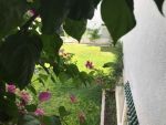 Appartement louka a hammamet