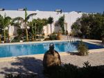 Appartement yasminaréf:  plain pieds
