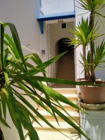 Duplex chams hammamet centre ville ha
