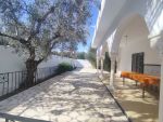 Villa les orangers hammamet