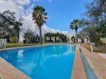 Villa à louer à hammamet nord zone nahrawess