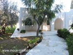 Maison olivo hammamet iil ill i
