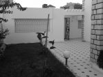 L olivier studio et piscine