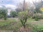 Vente terrain tournesol hammametcentre