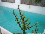 A dar arabesque avec piscine
