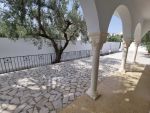 Villa dalou hammamet