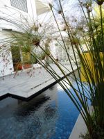 Belle villa galaxy yasmine hammamet