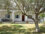 Alun rc avec jardin à nabeul