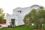 Villa calista zone hammamet sud
