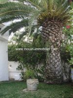 Villa verde a jinan hammamet