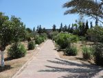 Villa nina 3 a hammamet sud