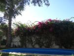Villa relax réf:hammamet