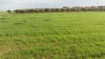 terrain agricole 40000m2