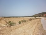 Terrain agricole avec vue mer à ain errahma