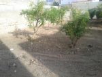 Terrain en plein centre ville de Monastir