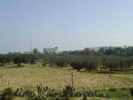 TERRAIN SUR KANTAOUI SOUSSE TUNISIE