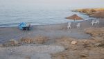 Une villa pieds dans l'eau à plage kerkouane