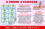 vente à Kairouan 8 lots constructibles de 358 à 614 m2