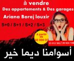 معنا الحلم يولي حقيقة 