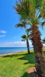 Appartement playa pl ha c