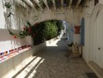 Appartement net  hammamet nordref