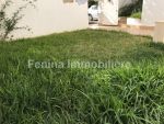 Avec jardin privatif dans une résidence sécurisée