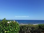 Appartement rosette maamoura a