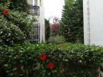 Duplex sofiane	réf: