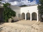 Ferme les bougainvillier àv à hammamet