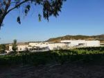 Usine de production vin 17 000000dt
