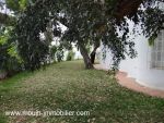 Villa sam s jinan hammamet