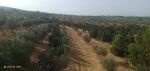 Av villa avec un terrain spacieux dans le quartier nabeul