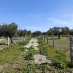 Av terrain 1680m à hammamet sud