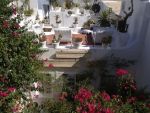 Dar mansour  la médina ref
