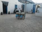 Une maison arabesque a la compagne de hammamet g