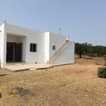 Av studio 600m à hammamet sud