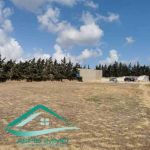Terrain agricole 7226 m² à kelibia
