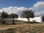 Superbe terrain de 320 m² à vendre